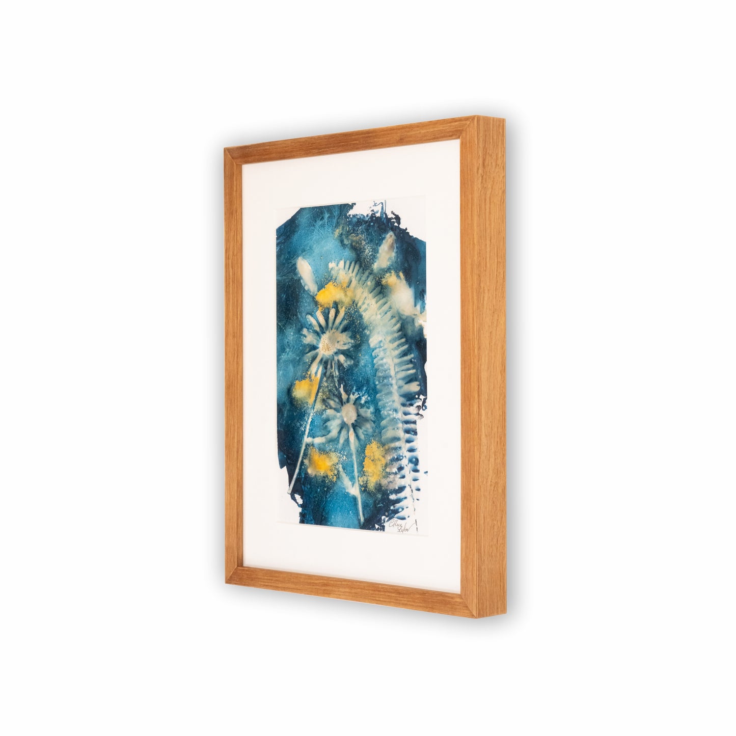 Fern & Margerite | Original Cyanotype | Kiaat Frame