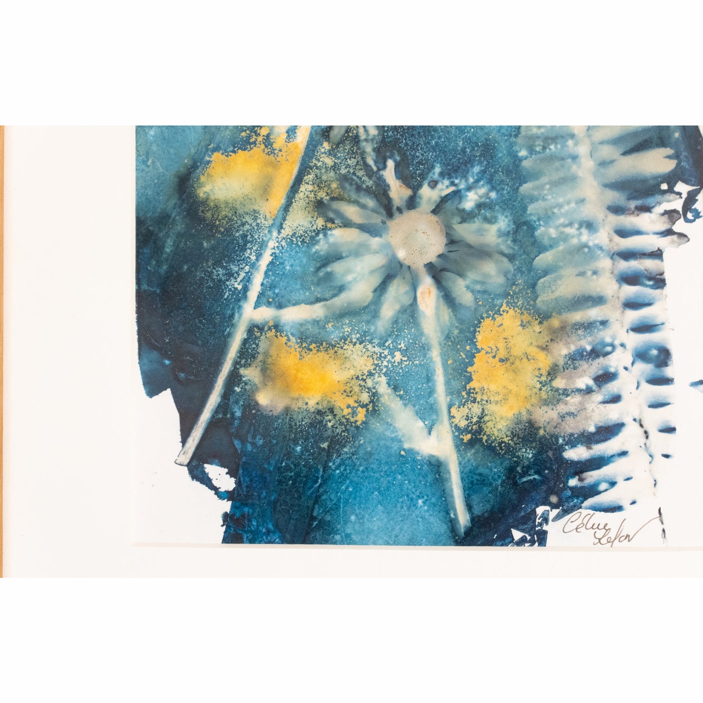 Fern & Margerite | Original Cyanotype | Kiaat Frame