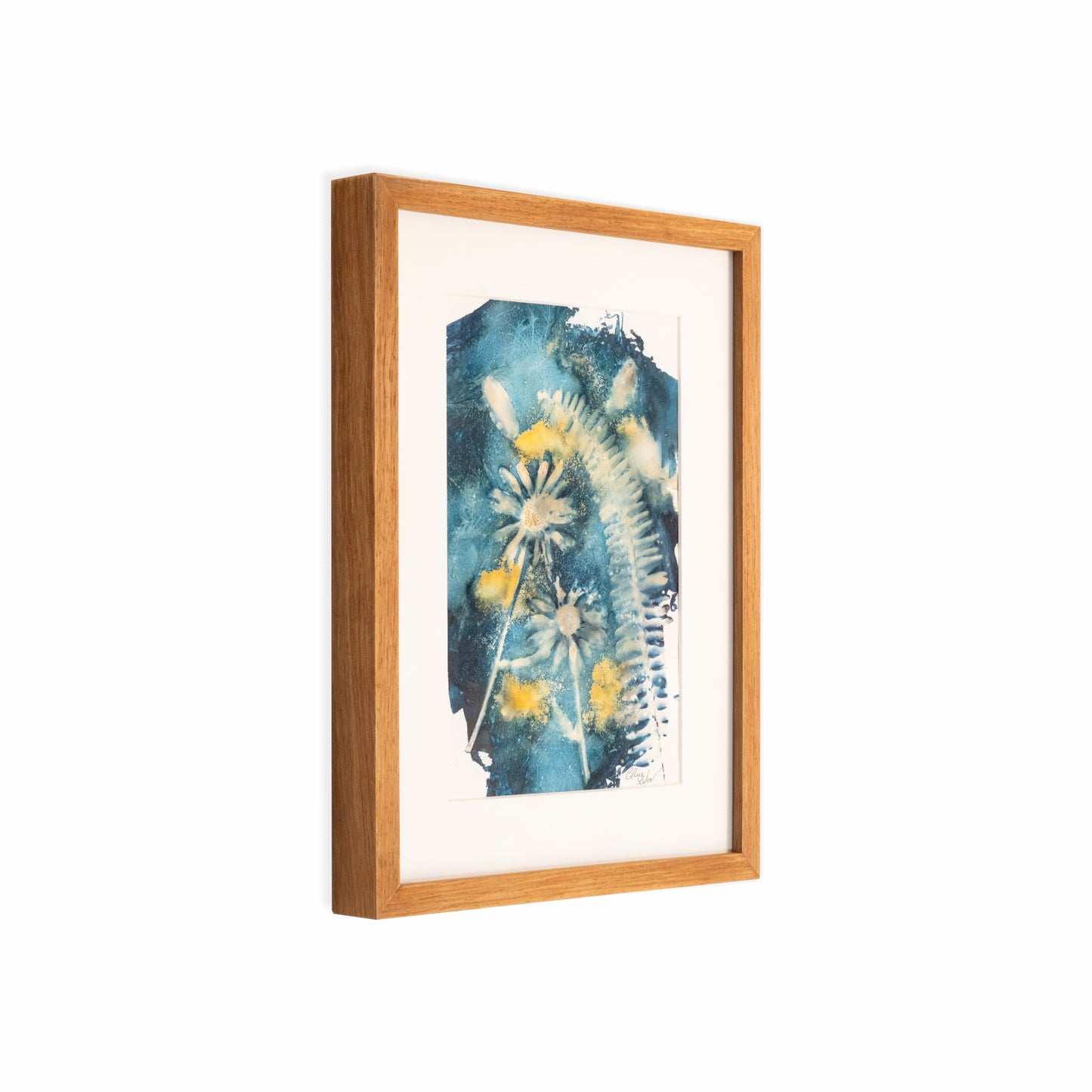 Fern & Margerite | Original Cyanotype | Kiaat Frame