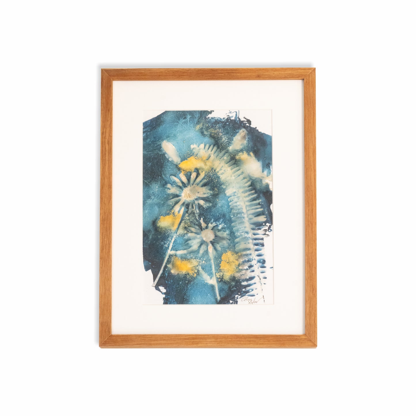 Fern & Margerite | Original Cyanotype | Kiaat Frame