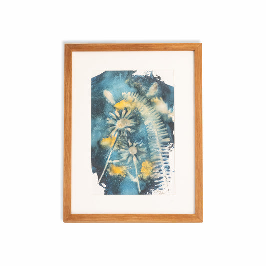 Fern & Margerite | Original Cyanotype | Kiaat Frame