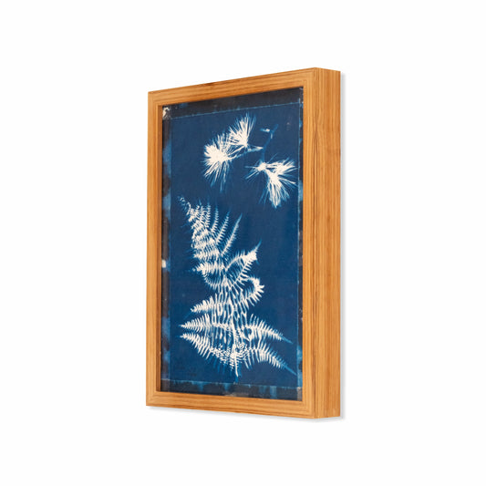 Fern & Pine | Original Cyanotype | Kiaat Frame