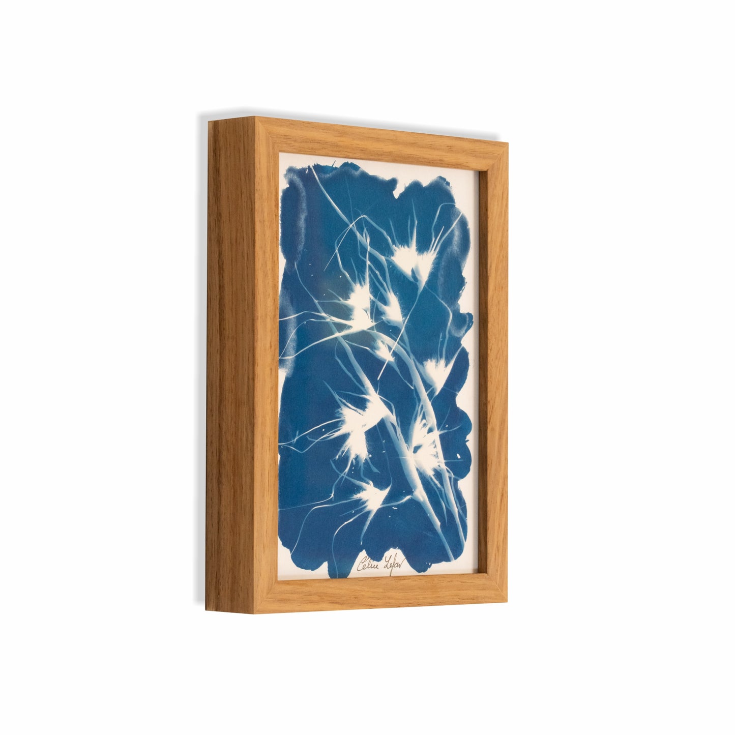Grass | Original Cyanotype | Kiaat Frame
