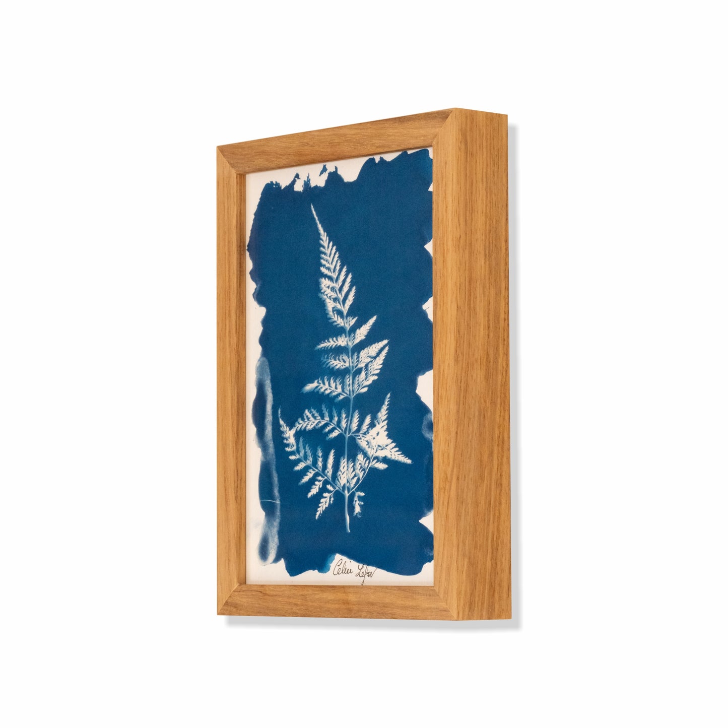 Fern | Original Cyanotype | Kiaat Frame