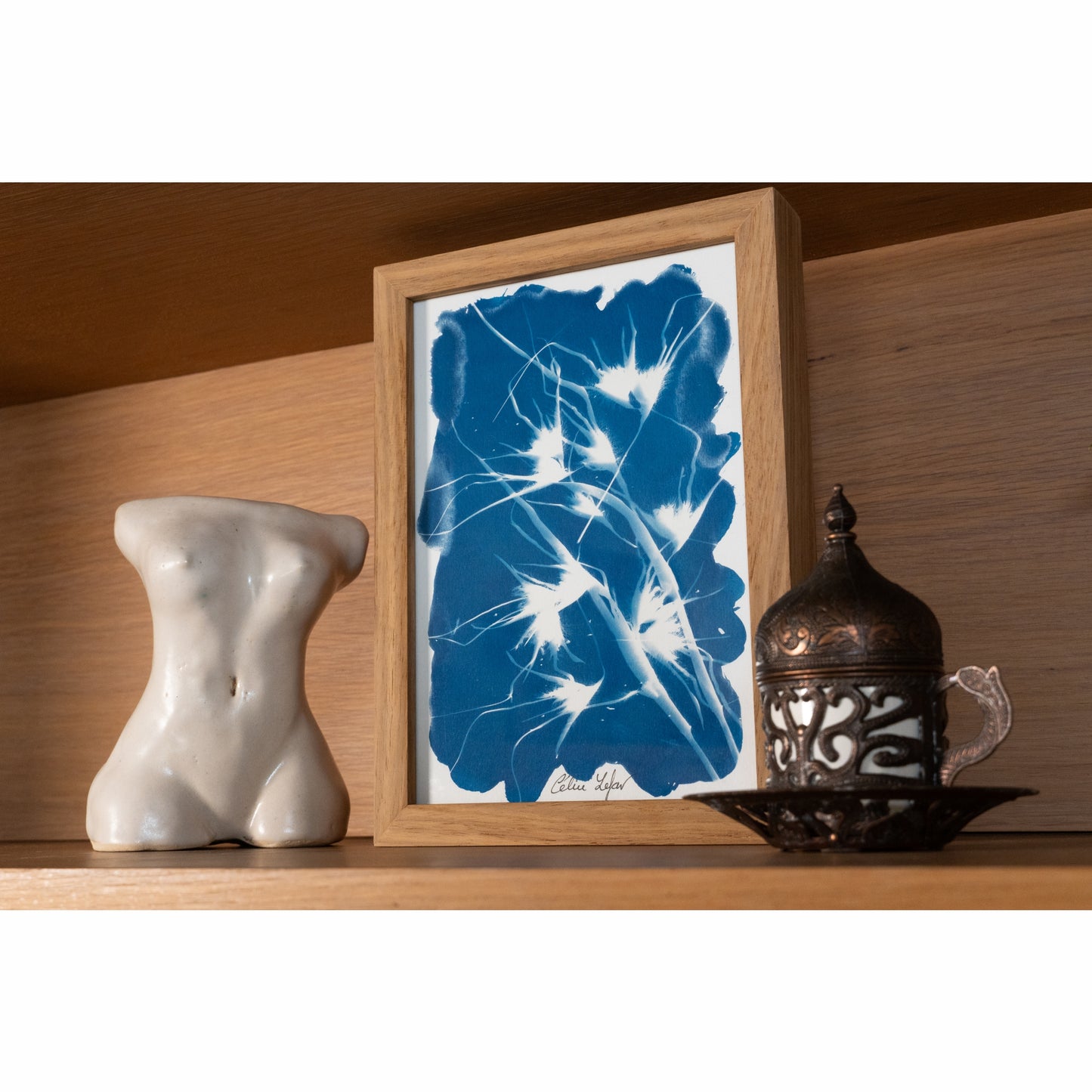 Grass | Original Cyanotype | Kiaat Frame