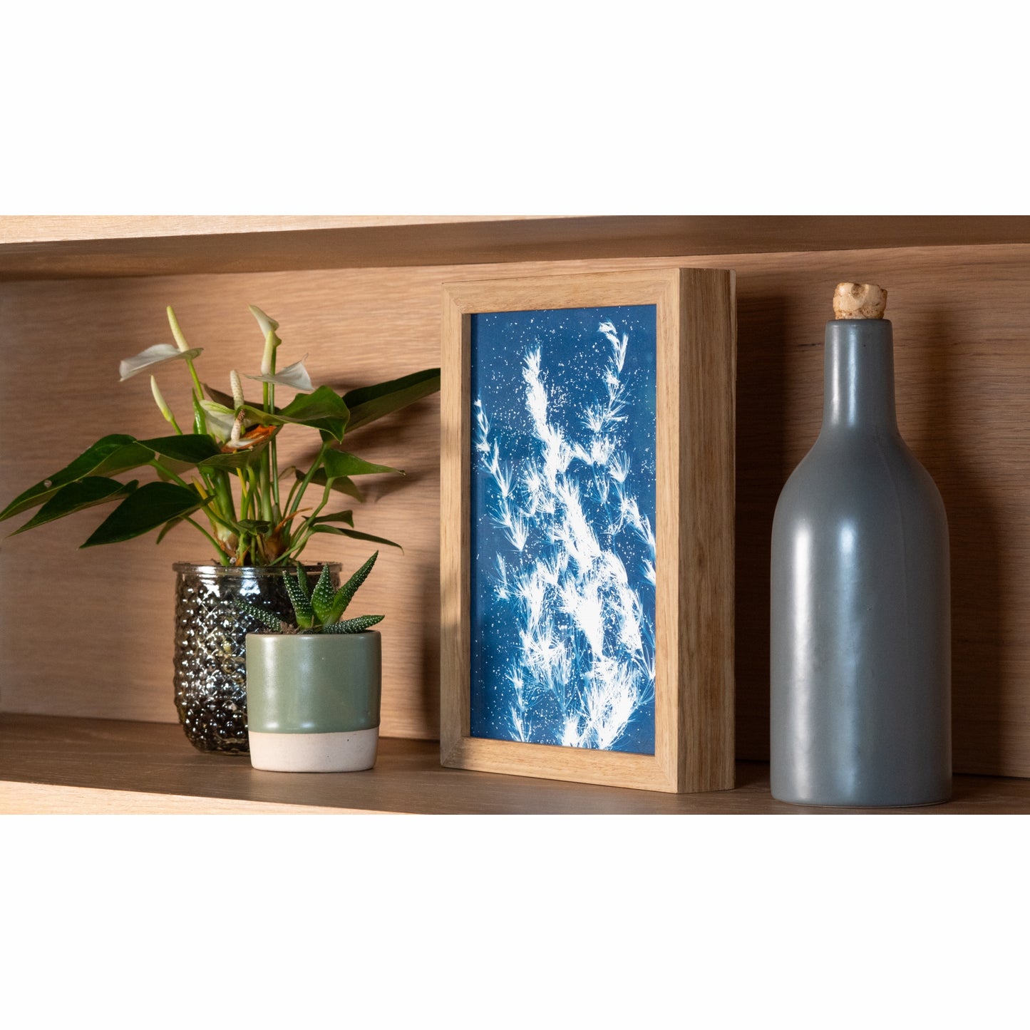 Plant | Original Cyanotype | Kiaat Frame