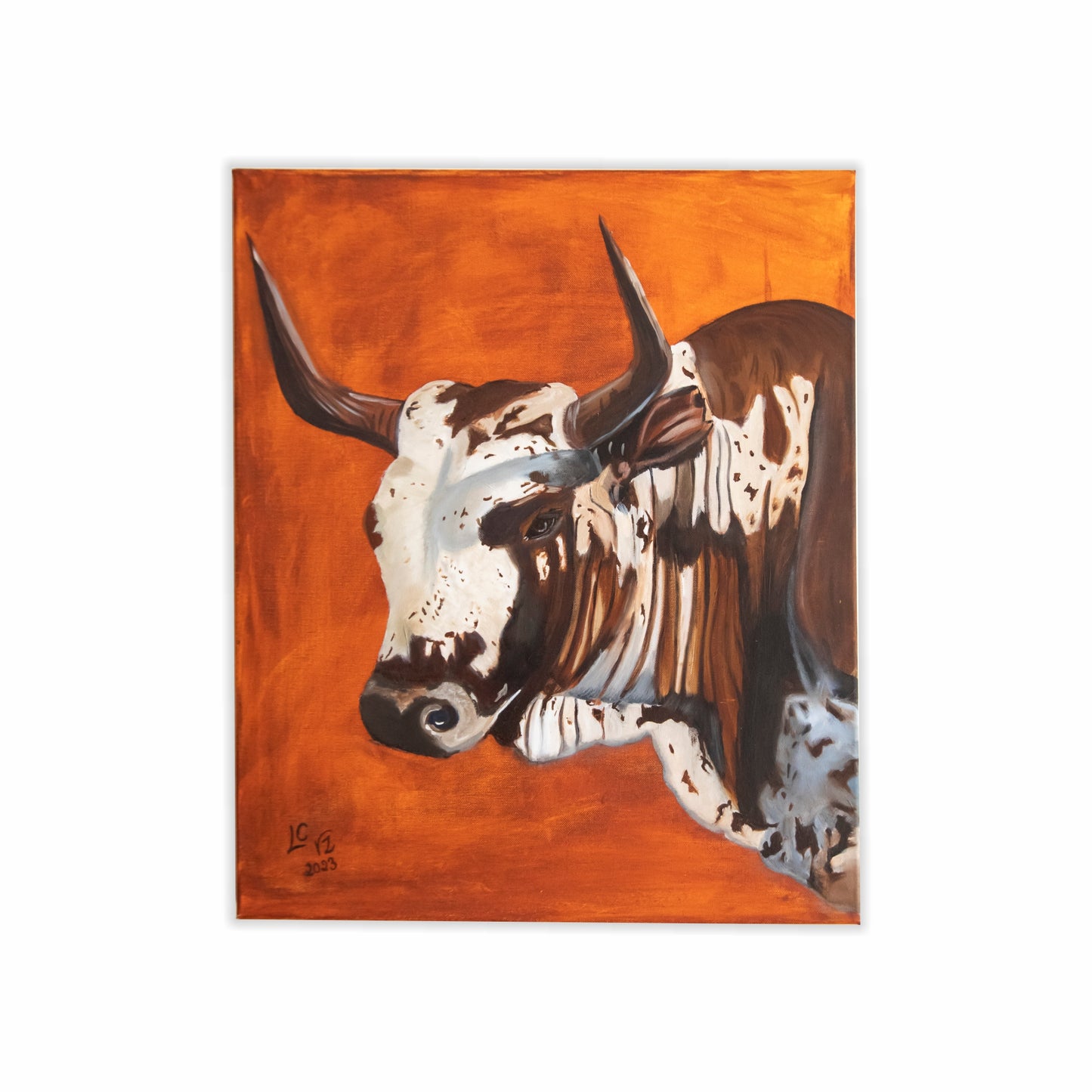 Nguni Cow | Print