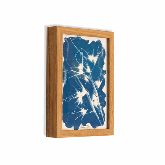 Grass | Original Cyanotype | Kiaat Frame