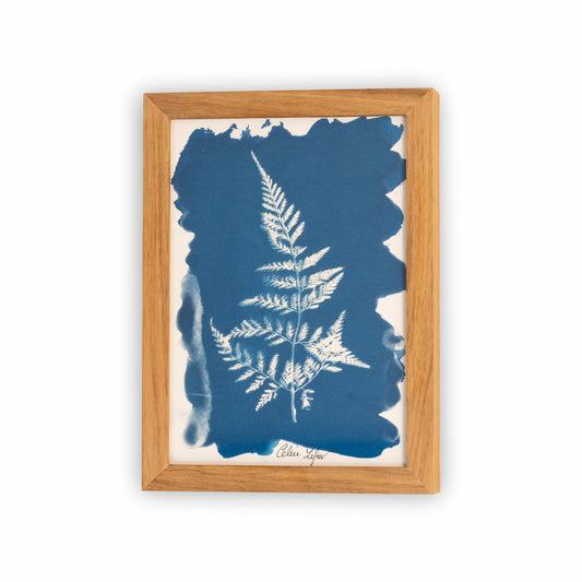 Fern | Original Cyanotype | Kiaat Frame