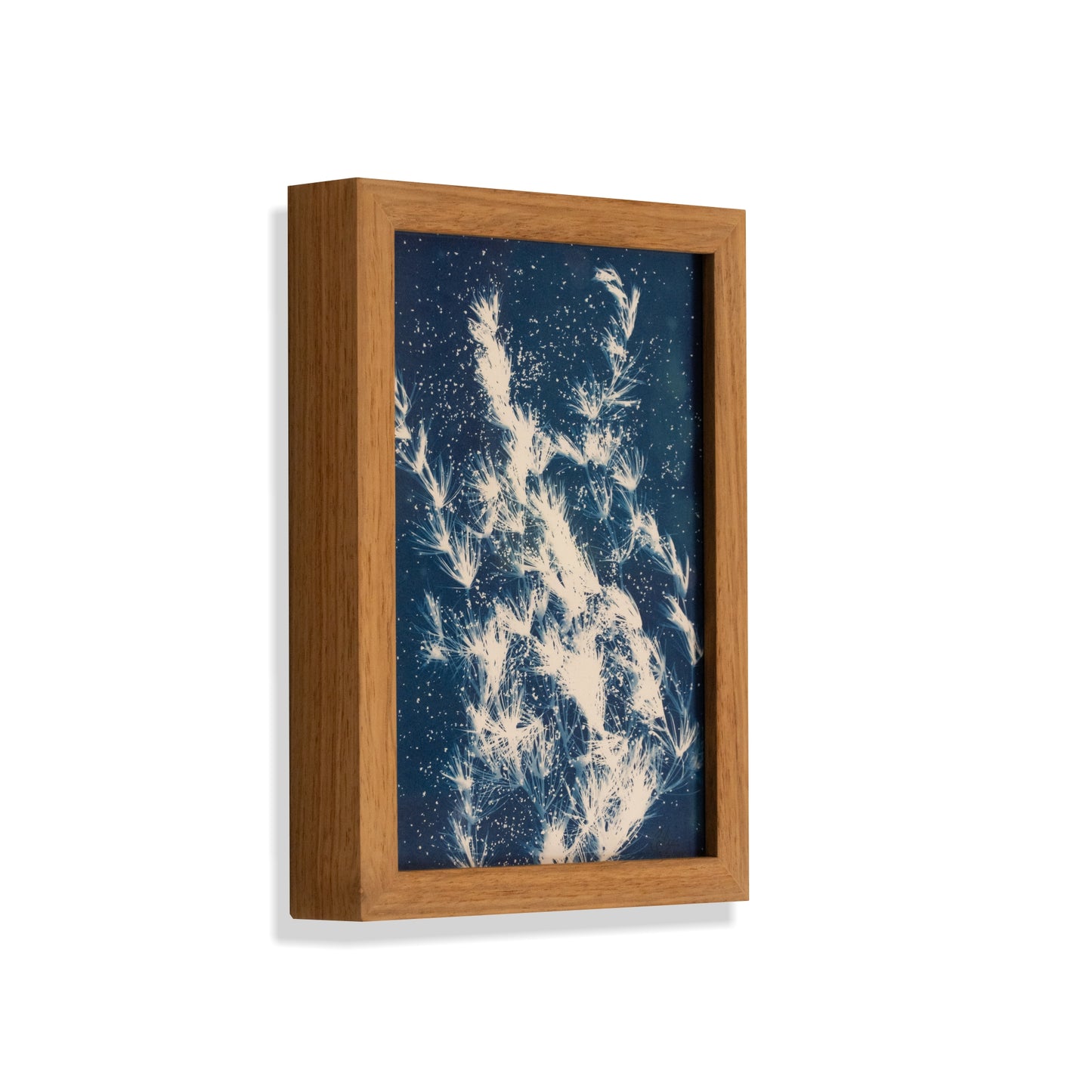 Plant | Original Cyanotype | Kiaat Frame