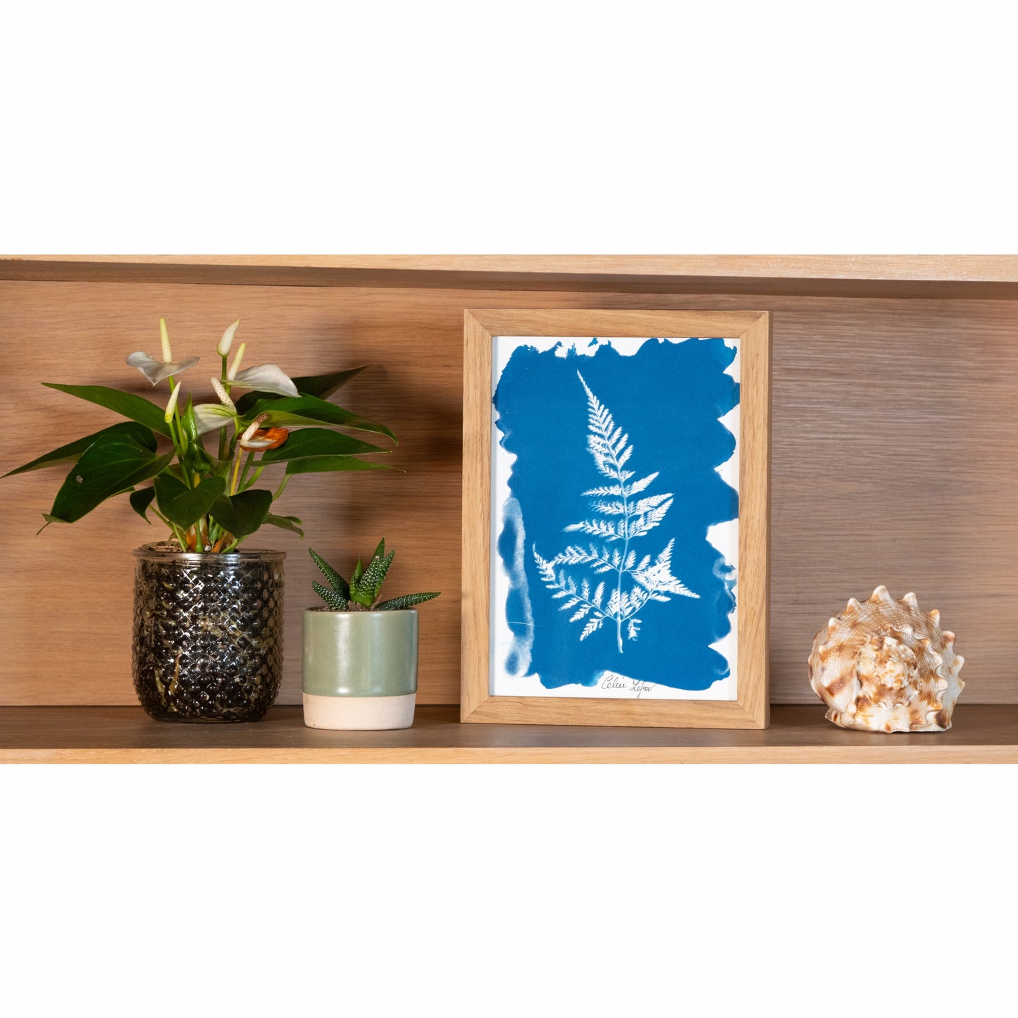 Fern | Original Cyanotype | Kiaat Frame
