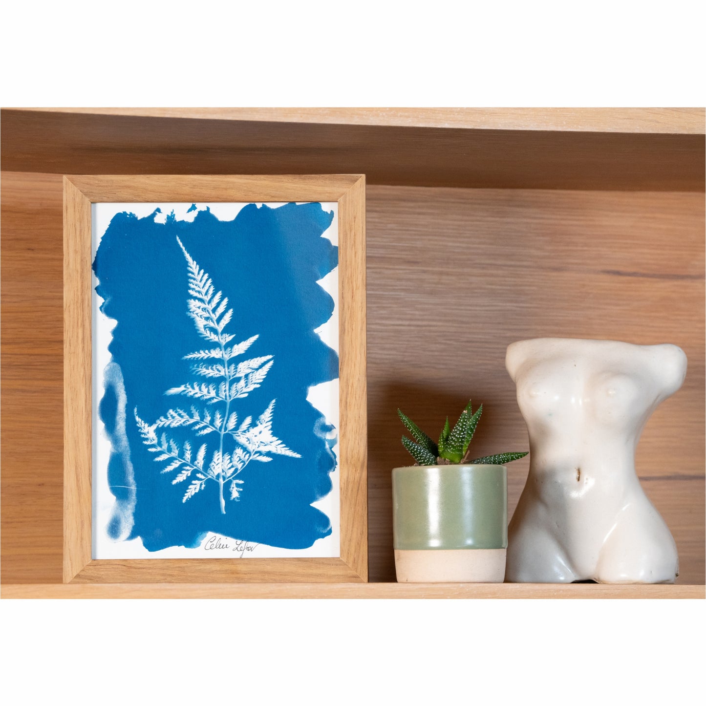 Fern | Original Cyanotype | Kiaat Frame