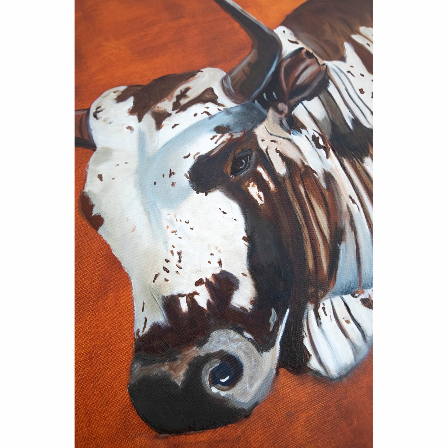 Nguni Cow | Print