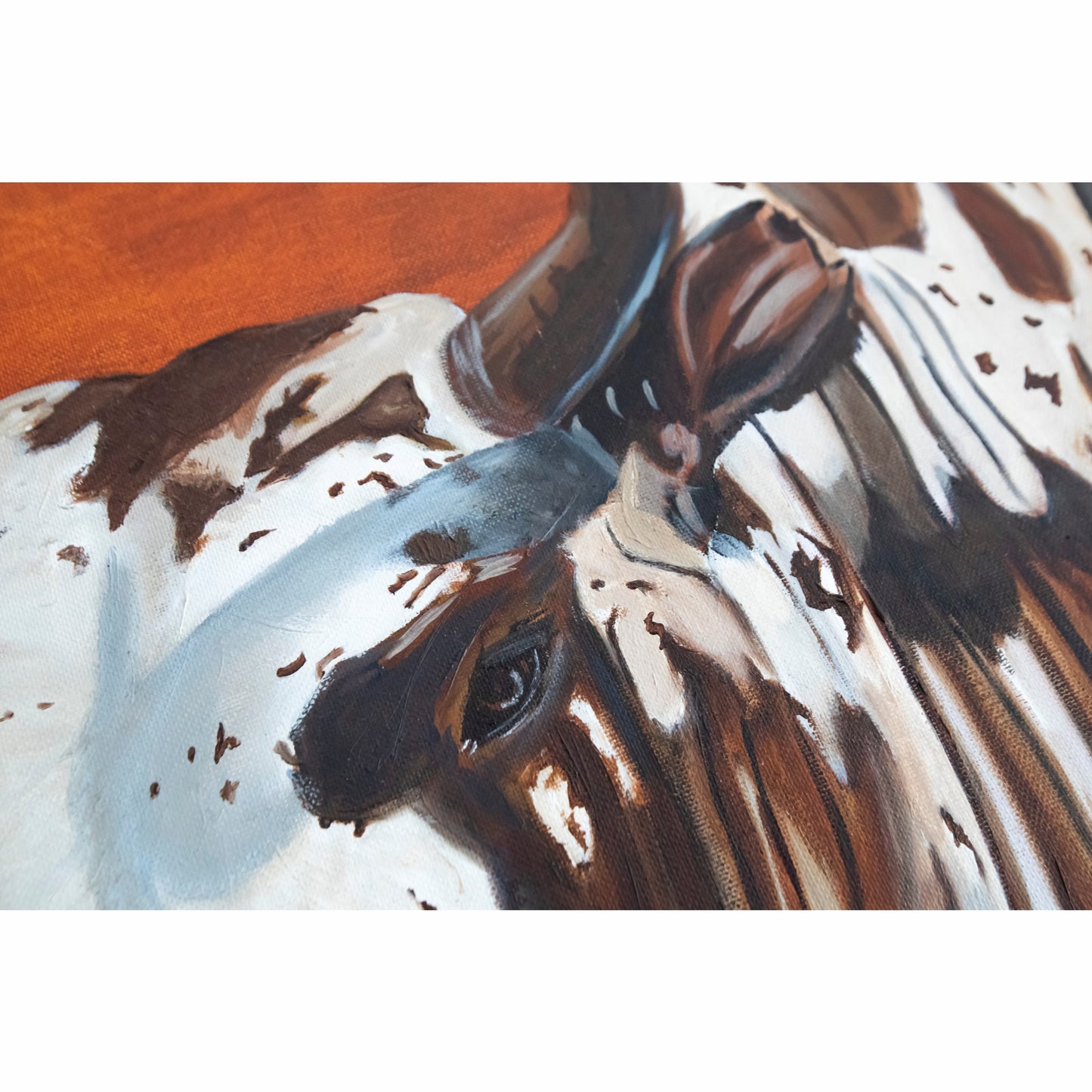 Nguni Cow | Print